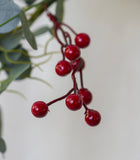 Red Berry & Eucalyptus Garland