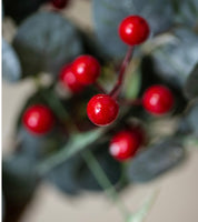 Red Berry and Eucalyptus Wreath