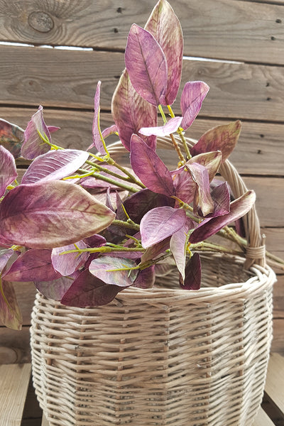 Deep Pink & Green Bayleaf Stem