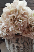 Natural Vintage Hydrangea