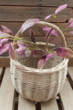 Deep Pink & Green Bayleaf Stem