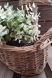 Woven Natural Willow Long Basket