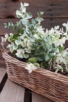 Woven Natural Willow Long Basket
