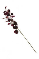 Deep Burgundy Eucalyptus Stem