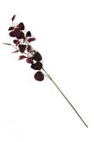 Deep Burgundy Eucalyptus Stem