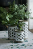 Medium Merryn Stone Lantern