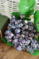 Bundle of Rustic Indigo Hawthorn Berries