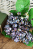 Bundle of Rustic Indigo Hawthorn Berries