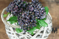 Bundle of Rustic Indigo Hawthorn Berries