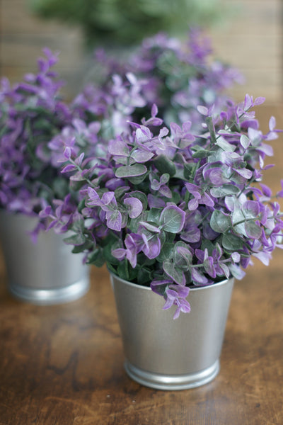 Faux Potted Eucalyptus Rustic Violet