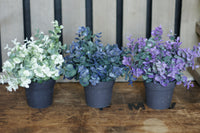 Faux Potted Eucalyptus Rustic Violet