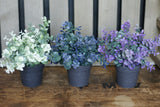 Faux Potted Eucalyptus Rustic Indigo