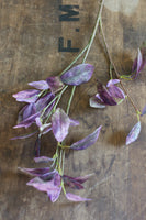 Deep Pink & Green Bayleaf Stem