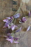 Deep Pink & Green Bayleaf Stem