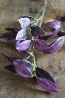 Deep Pink & Green Bayleaf Stem