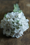 Natural Vintage Hydrangea