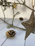 Distressed Gold Star Decoration