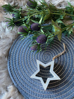 Hanging Outline Star