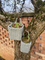 Pair of Baskets in Verte