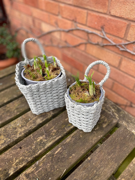 Pair of Baskets in Verte