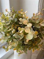 Copper Tipped Eucalyptus bunch