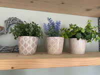 Set of Three Patterned Mini Planters