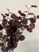 Deep Burgundy Eucalyptus Stem