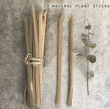 Bundle of Plant Sticks