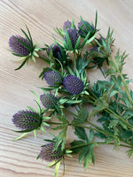 Thistle Stem - Purple