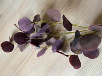 Deep Burgundy Eucalyptus Stem
