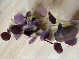 Deep Burgundy Eucalyptus Stem