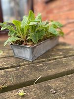 Zinc Planter