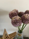 Vintage Violet Hedgerow Allium