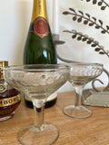 Champagne Coupe - Etched Laurel